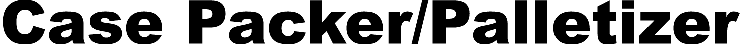 Case Packer Palletizer
